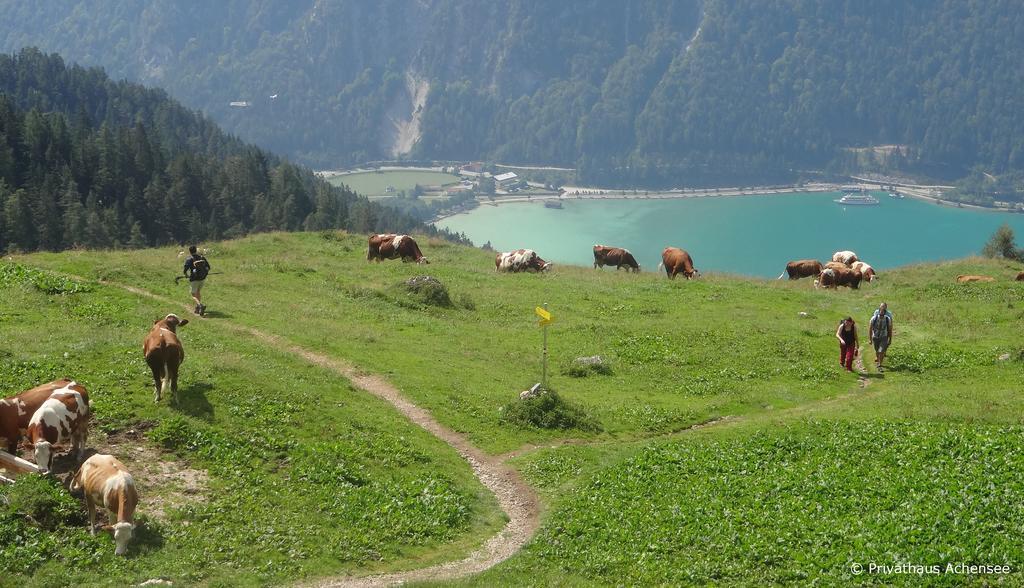 Privathaus Achensee Achenkirch Rum bild