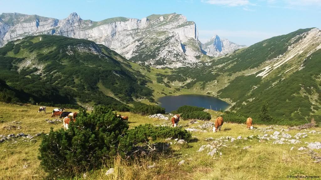 Privathaus Achensee Achenkirch Exteriör bild