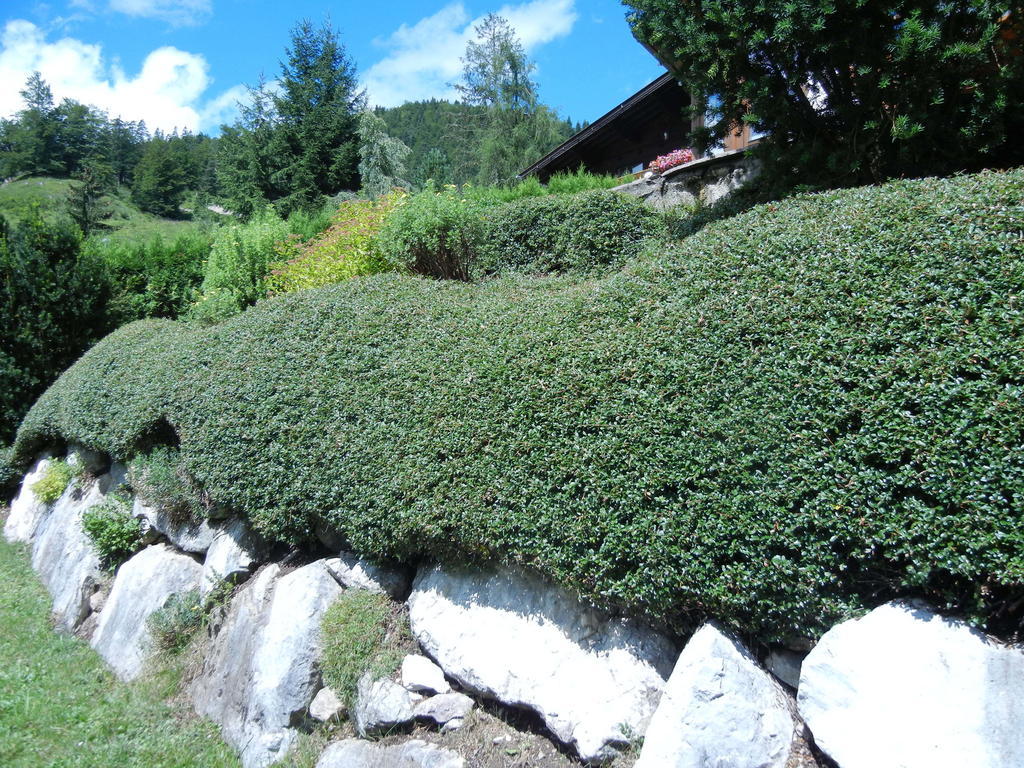 Privathaus Achensee Achenkirch Rum bild
